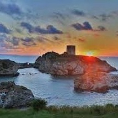 Şile Temizlik Malzeme Tedariği